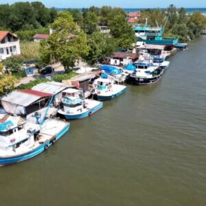 karasuda palamut sezonu risk altinda ytU7MKss