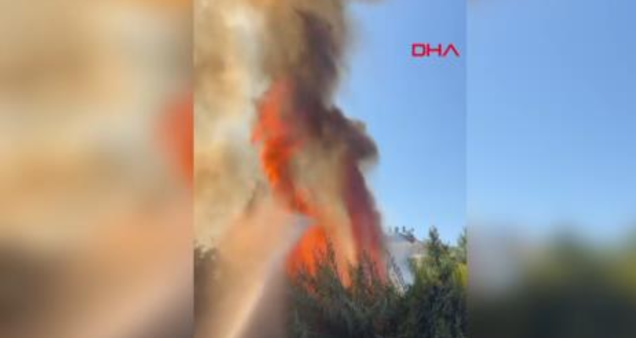 antalyada calilik yangini seralara sicradi ETZkXjOQ