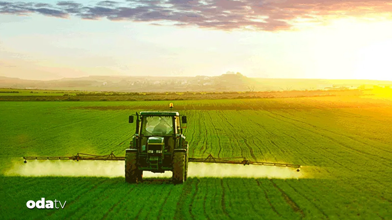 tarim efsanesi de konkordato ilan etti KzVEUyzI