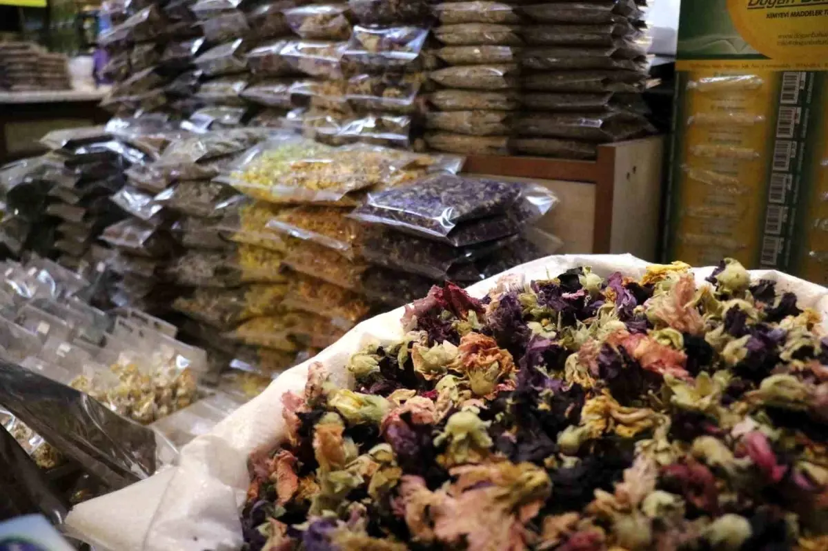 sakaryada soguk alginligina karsi aktarlara yogun ilgi 6vtDiq55