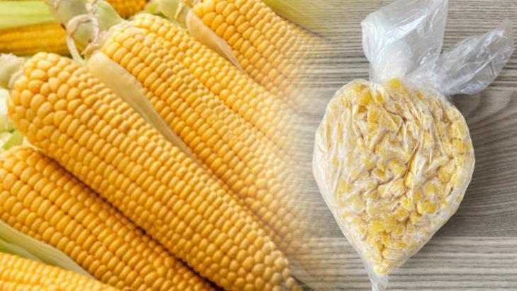 misiri catalla siyir hasla dondurucuya at 12 ay tazecik kaliyor Bjl5uW8H.jpg