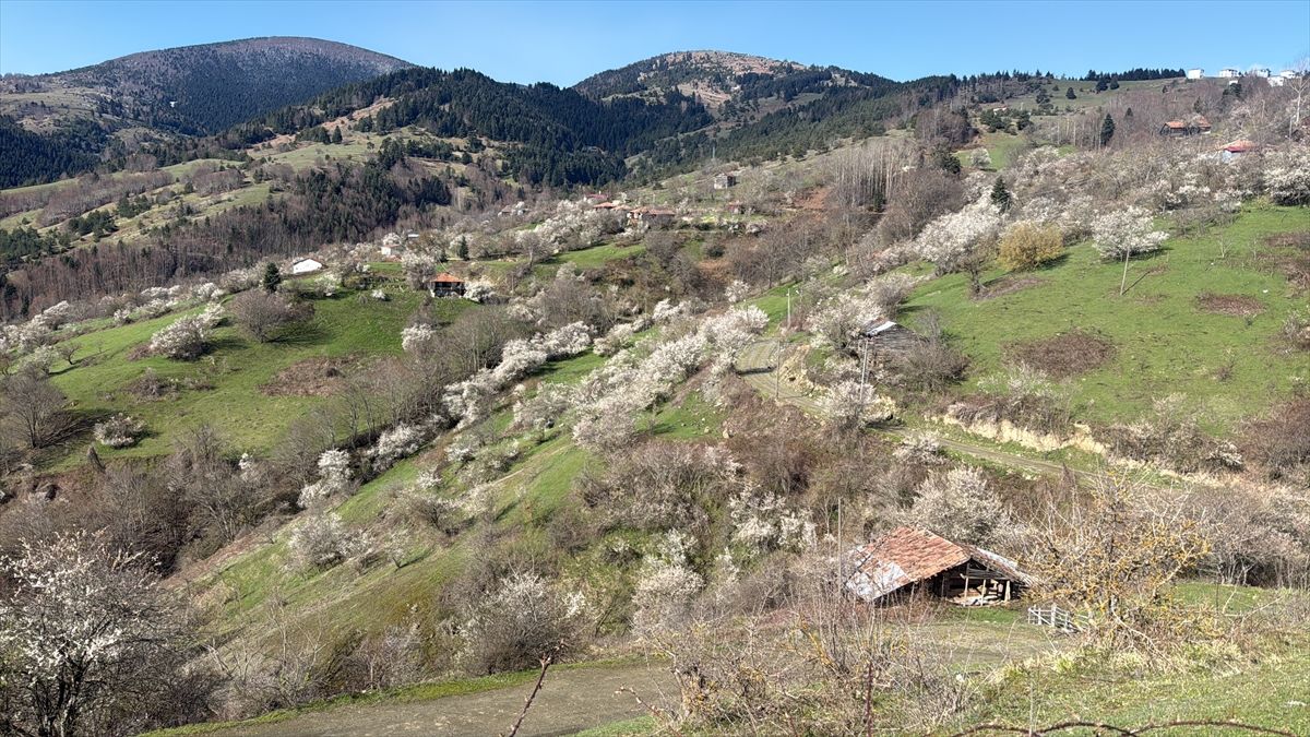 Kızlan’da Baharın Güzellikleri