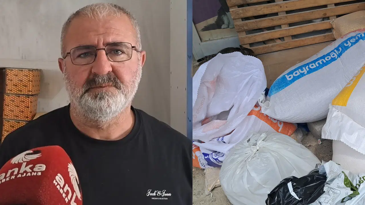 artvinde-hayvancilik-alarm-veriyor-calisan-degil-parasini-bekleten-kazaniyor-5wafgEwz