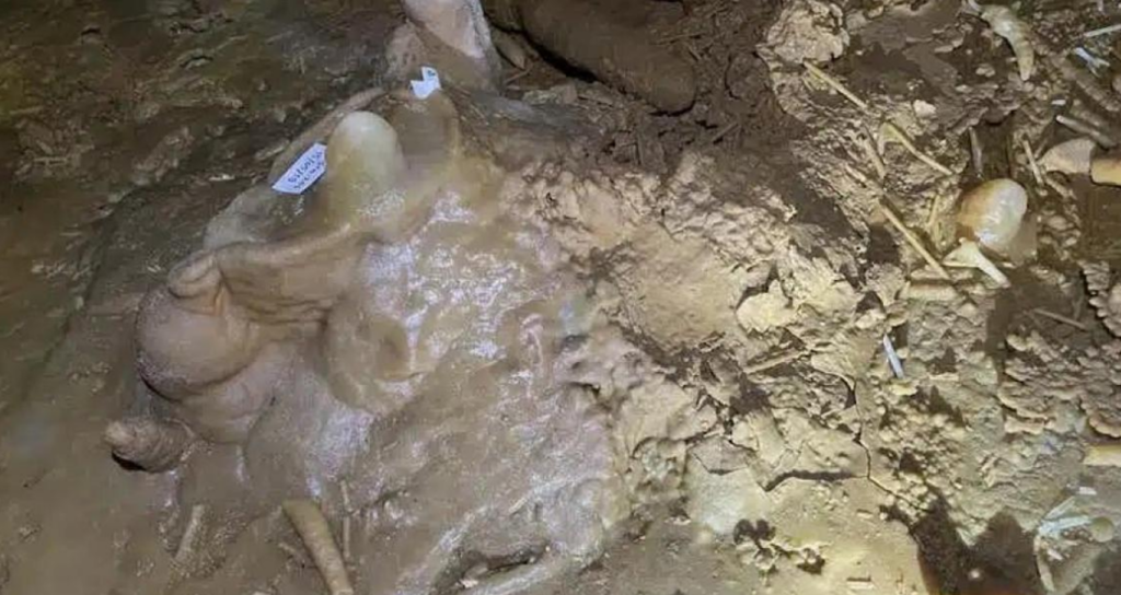 Araştırmacılar Bruniquel Mağarası’nda Şaşırtıcı Bir Keşif Yaptı: Neandertallere Ait İzin İzleri