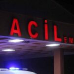 havalar-isindi-ortaya-cikti-kene-bir-can-daha-aldi-ISVGj5Px