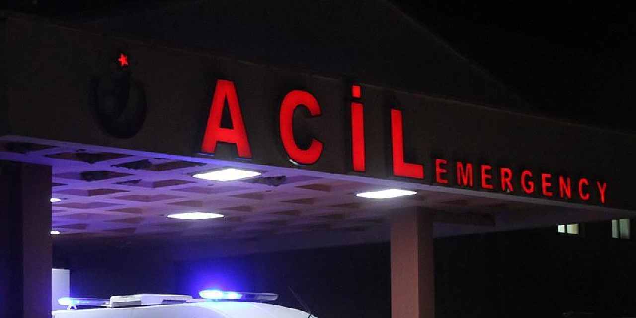 havalar-isindi-ortaya-cikti-kene-bir-can-daha-aldi-ISVGj5Px