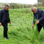 hububati-super-hucre-vurdu-binlerce-arazi-zarar-gordu-b5T7UJ3P