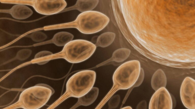 kisirlik-tedavisinde-yeni-teknoloji-yapay-zekayla-sperm-bulunuyor-BUSejR59