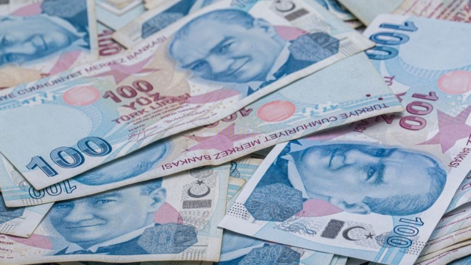 Sindirim Sistemi: İşlevleri ve Yapısı Hakkında Bilgiler